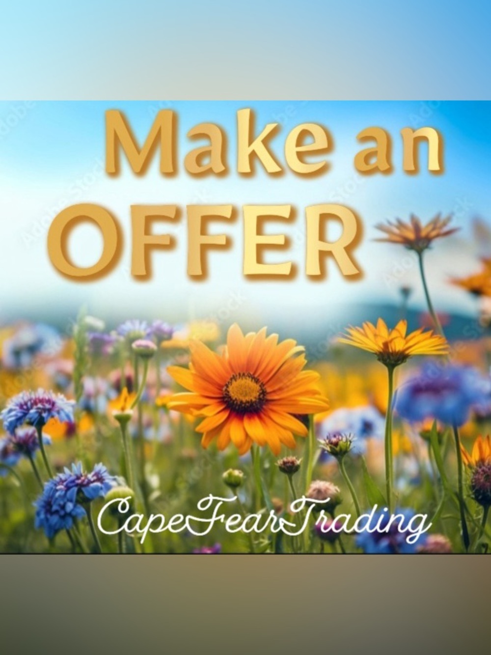 MAKE an OFFER GIFT